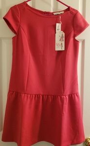 NWT Loft pink dress